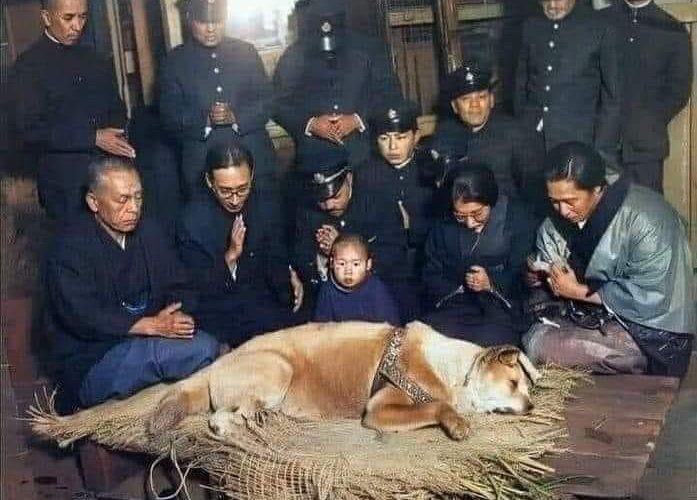 Sadık-Köpek-Hachiko-nun-Son-Fotoğrafı