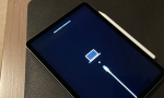 iPad Kurtarma