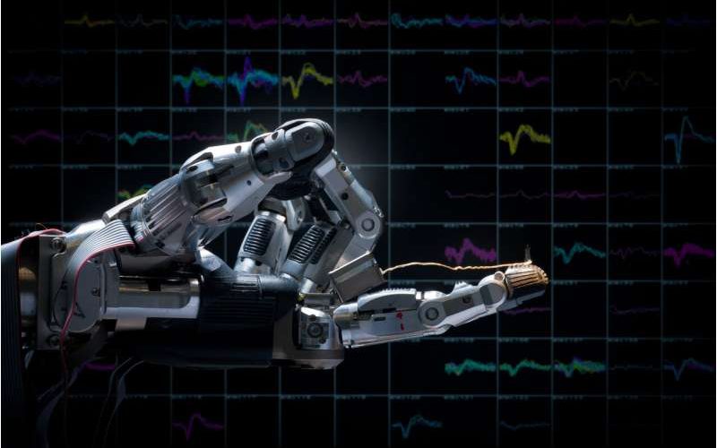 Beynin Şaşırtan Esnekliği Düşünceyle Kontrol Mümkün mü