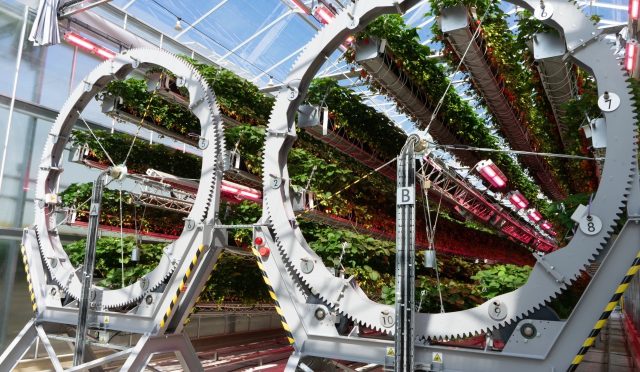 Dyson’ın Tarımda Kazandığı Teknolojik Zafer