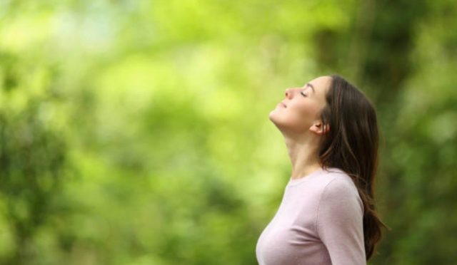 Nefesin Ritmi, Hafızanın Anahtarı