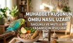 Muhabbet Kuşunun Ömrü Nasıl Uzar
